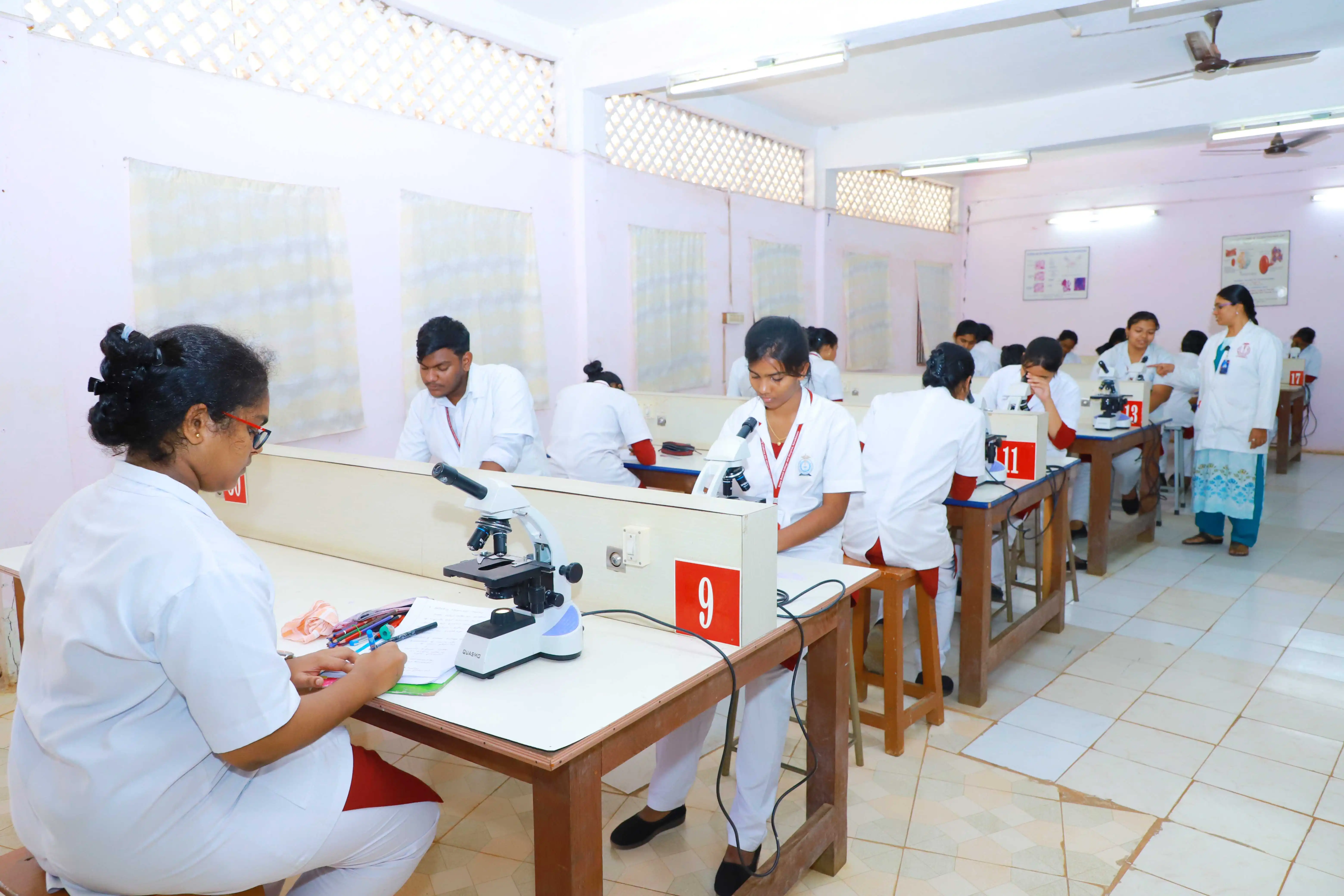 rajas_dental_Physiology128